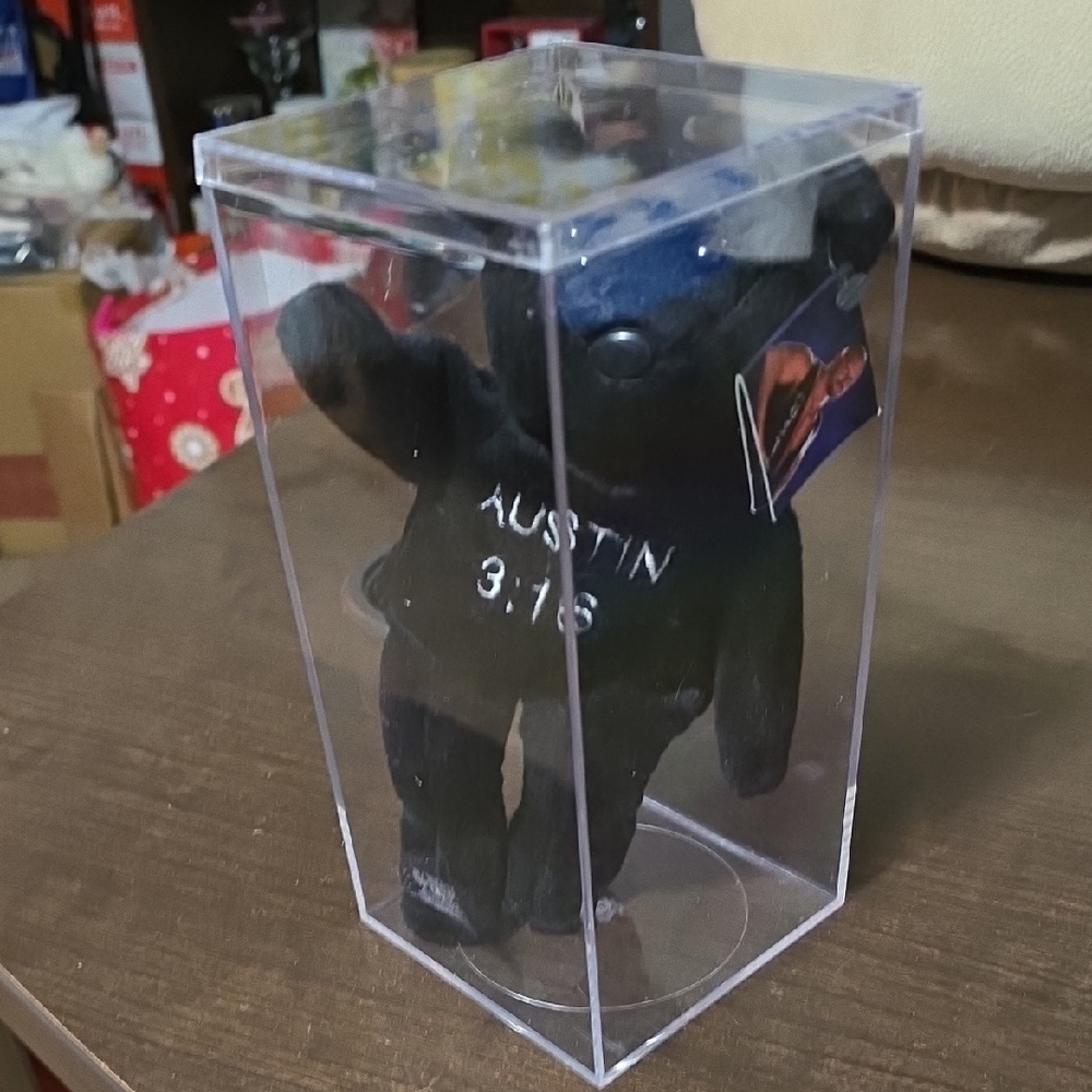 Stone Cold Steve Austin VINTAGE wretling Bear In Cube